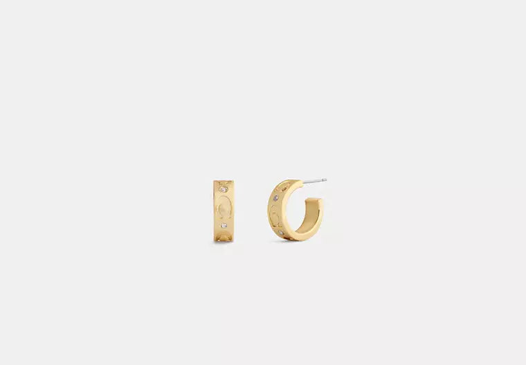 C Earrings II